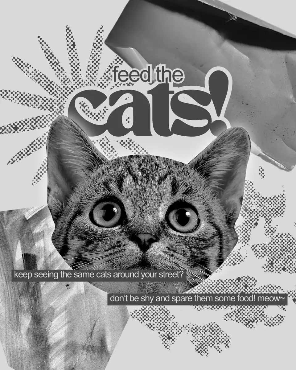 Креатива за хранење мачки — pet shop