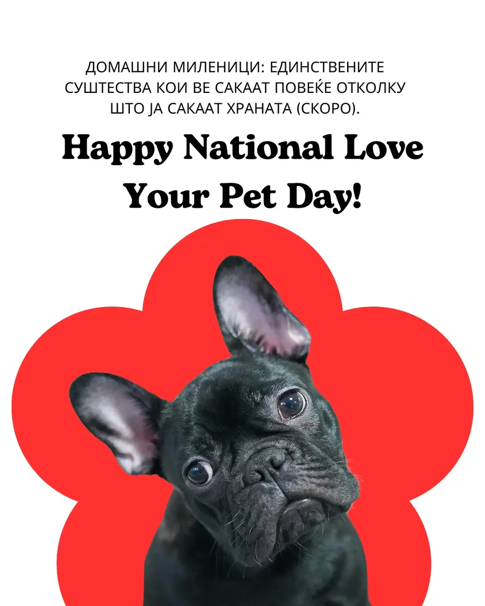 Празнична креатива за pet shop